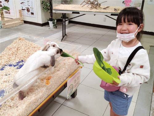 店舗でウサギに葉っぱをあげる子ども