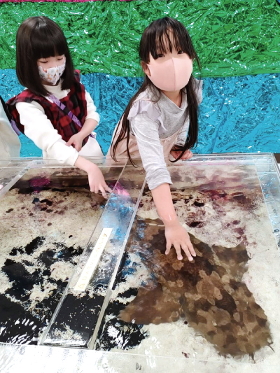 店舗で水槽のいきものを観察する子どもたち